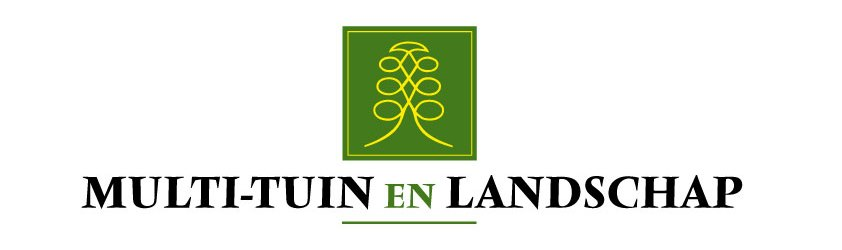 Logo upload