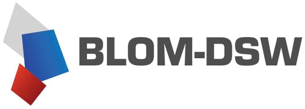 Logo Blom-DSW